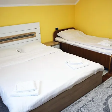 Holiday home Casa La Marin Borsa (Maramures)